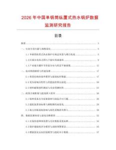 2026年中國單鍋筒縱置式熱水鍋爐數據監測研究報告