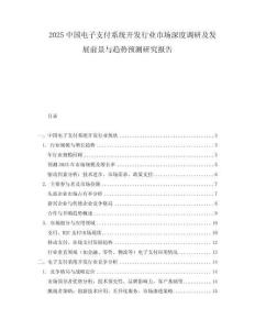 2025中國電子支付系統開發行業市場深度調研及發展前景與趨勢預測研究報告
