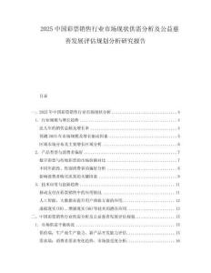 2025中國彩票銷售行業市場現狀供需分析及公益慈善發展評估規劃分析研究報告