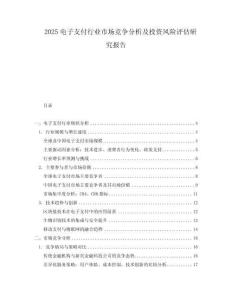 2025電子支付行業市場競爭分析及投資風險評估研究報告