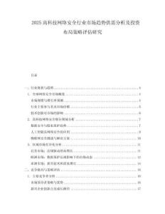 2025高科技網絡安全行業市場趨勢供需分析及投資布局策略評估研究