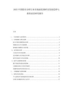 2025中國股市分析行業市場深度調研及發展趨勢與投資前景研究報告