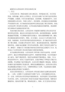 最新重點山洪溝治理工程旁站監理方案