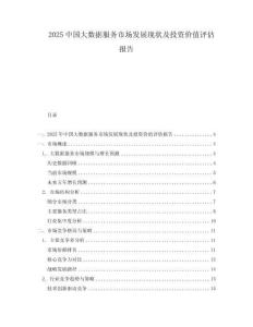 2025中國大數據服務市場發展現狀及投資價值評估報告