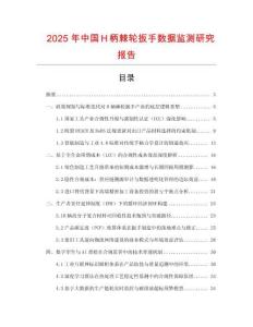 2025年中國Ｈ柄棘輪扳手數據監測研究報告