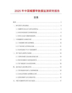 2025年中國暖腰帶數據監測研究報告
