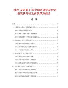 2025及未來5年中國琺瑯燒成爐市場現狀分析及前景預測報告