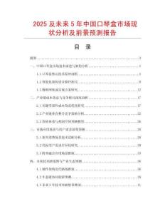 2025及未來5年中國口琴盒市場現狀分析及前景預測報告