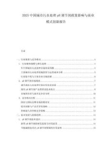 2025中國城市污水處理pH調節劑政策影響與商業模式創新報告