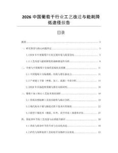 2026中國葡萄干行業(yè)工藝改進(jìn)與能耗降低途徑報(bào)告