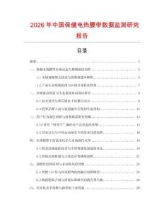 2026年中國保健電熱腰帶數據監測研究報告