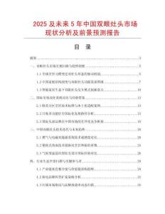 2025及未來5年中國雙眼灶頭市場現狀分析及前景預測報告