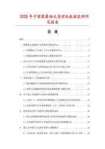 2025年中國圓簧拋丸清理機數據監測研究報告