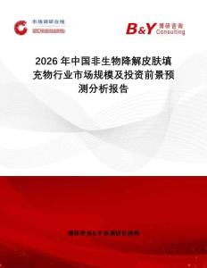 2026年中国非生物降解皮肤填充物行业市场规模及投资前景预测分析报告
