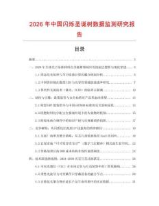 2026年中國閃爍圣誕樹數據監測研究報告
