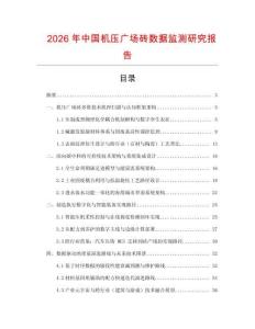 2026年中國機壓廣場磚數據監測研究報告
