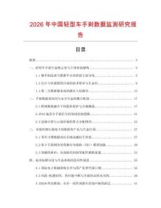 2026年中國輕型車手剎數據監測研究報告