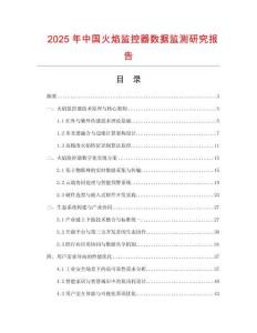 2025年中國火焰監(jiān)控器數(shù)據(jù)監(jiān)測研究報告