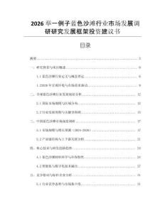 2026舉一例子藍色沙灘行業市場發展調研研究發展框架投資建議書