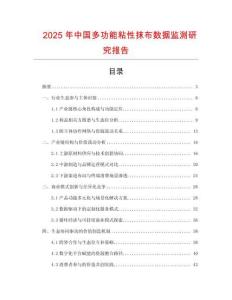 2025年中國多功能粘性抹布數據監測研究報告