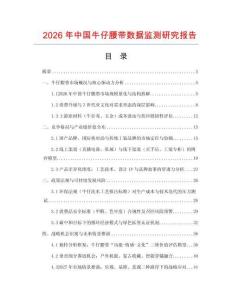 2026年中國牛仔腰帶數據監測研究報告