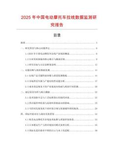2025年中國(guó)電動(dòng)摩托車?yán)€數(shù)據(jù)監(jiān)測(cè)研究報(bào)告