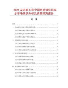 2025及未來5年中國自動清洗洗車水市場現狀分析及前景預測報告