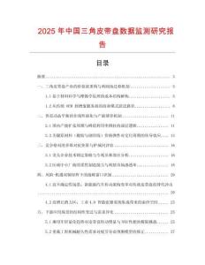 2025年中國三角皮帶盤數據監測研究報告