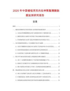 2025年中國鍍鋁用雙向拉伸聚酯薄膜數據監測研究報告