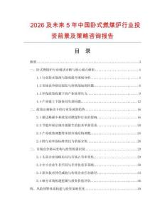 2026及未來5年中國臥式燃煤爐行業(yè)投資前景及策略咨詢報告