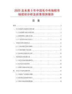 2025及未來5年中國毛巾布拖鞋市場現(xiàn)狀分析及前景預(yù)測報告