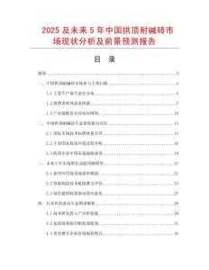2025及未來5年中國拱頂耐堿磚市場現狀分析及前景預測報告