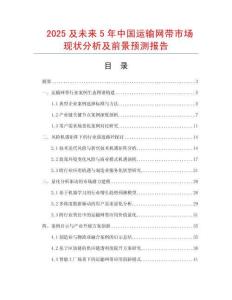 2025及未來5年中國運輸網帶市場現狀分析及前景預測報告
