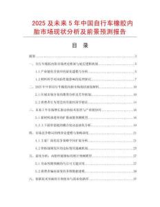 2025及未來5年中國自行車橡膠內胎市場現狀分析及前景預測報告