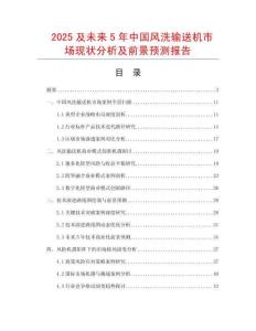 2025及未來5年中國風洗輸送機市場現狀分析及前景預測報告