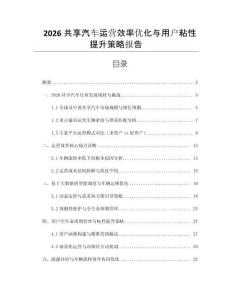 2026共享汽車運營效率優化與用戶粘性提升策略報告