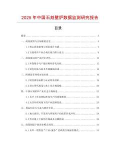 2025年中國石刻壁爐數據監測研究報告