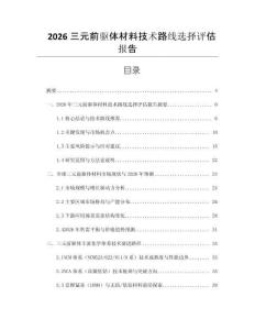 2026三元前驅(qū)體材料技術(shù)路線選擇評(píng)估報(bào)告