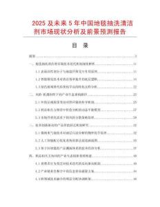 2025及未來5年中國地毯抽洗清潔劑市場現狀分析及前景預測報告