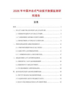 2026年中國沖擊式氣動扳手數據監測研究報告