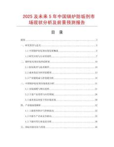2025及未來5年中國鍋爐防垢劑市場現狀分析及前景預測報告