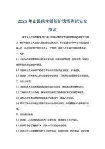 2025年止回閥水錘防護現場測試安全協議