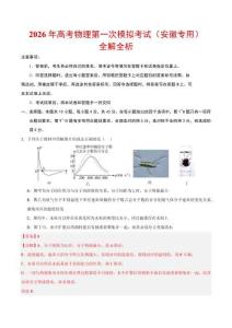 2026年高考物理第一次模擬考試：一模保分卷（安徽專用）（全解全析）