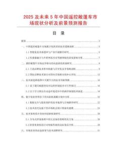 2025及未來5年中國遙控敞篷車市場現狀分析及前景預測報告