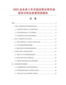 2025及未來5年中國泥漿水帶市場現狀分析及前景預測報告