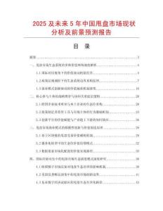 2025及未來5年中國甩盤市場現(xiàn)狀分析及前景預測報告