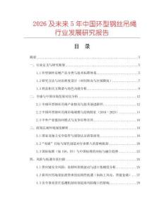 2026及未來5年中國環型鋼絲吊繩行業發展研究報告
