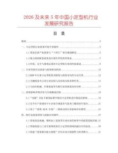 2026及未來5年中國小定型機行業發展研究報告