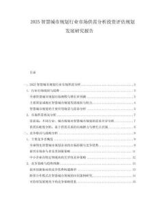 2025智慧城市規(guī)劃行業(yè)市場(chǎng)供需分析投資評(píng)估規(guī)劃發(fā)展研究報(bào)告