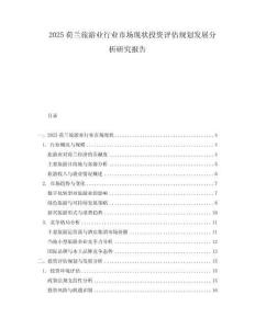 2025荷蘭旅游業(yè)行業(yè)市場現(xiàn)狀投資評估規(guī)劃發(fā)展分析研究報告